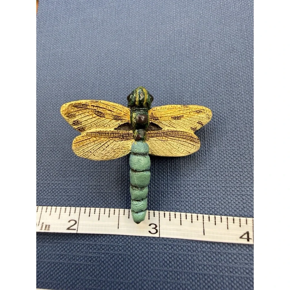 Unkown safari dragonfly
